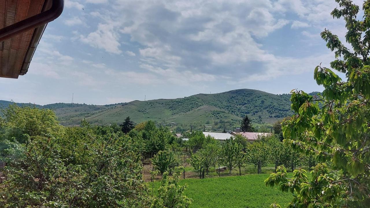 Agropensiunea Olteanu Niculitel 외부 사진